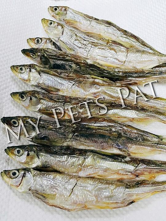 風乾北海道公魚仔 (L)