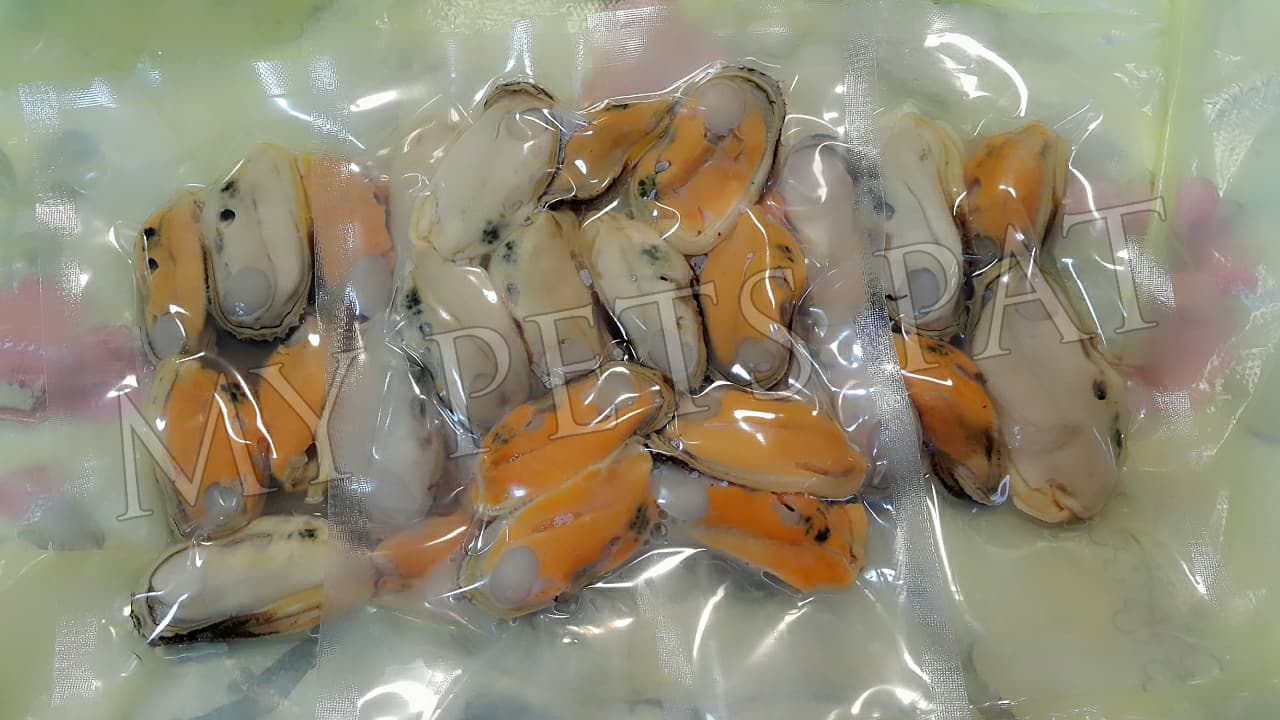 慢煮有機紐西蘭青口