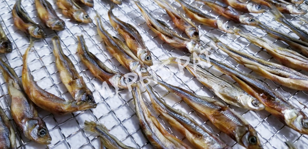 風乾北海道公魚仔 (S SIZE)